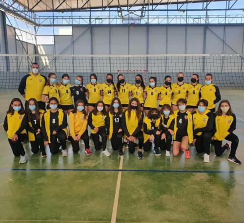 cantera voley