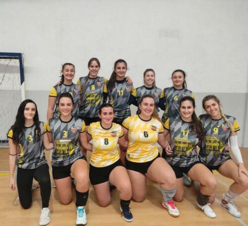 senior voley